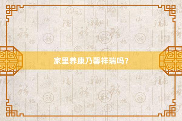 家里养康乃馨祥瑞吗？