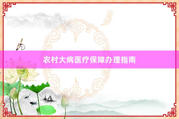农村大病医疗保障办理指南