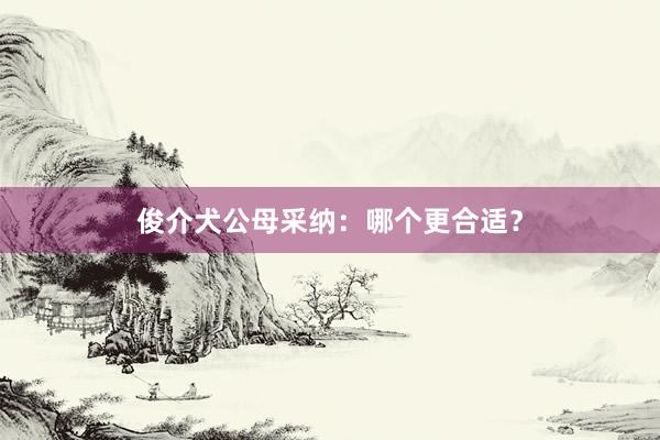 俊介犬公母采纳：哪个更合适？